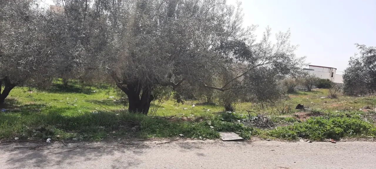 Land for sale in Bait Ras – photo 4