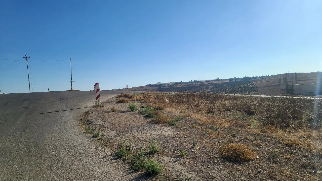 Land for sale in Zabda – photo 4