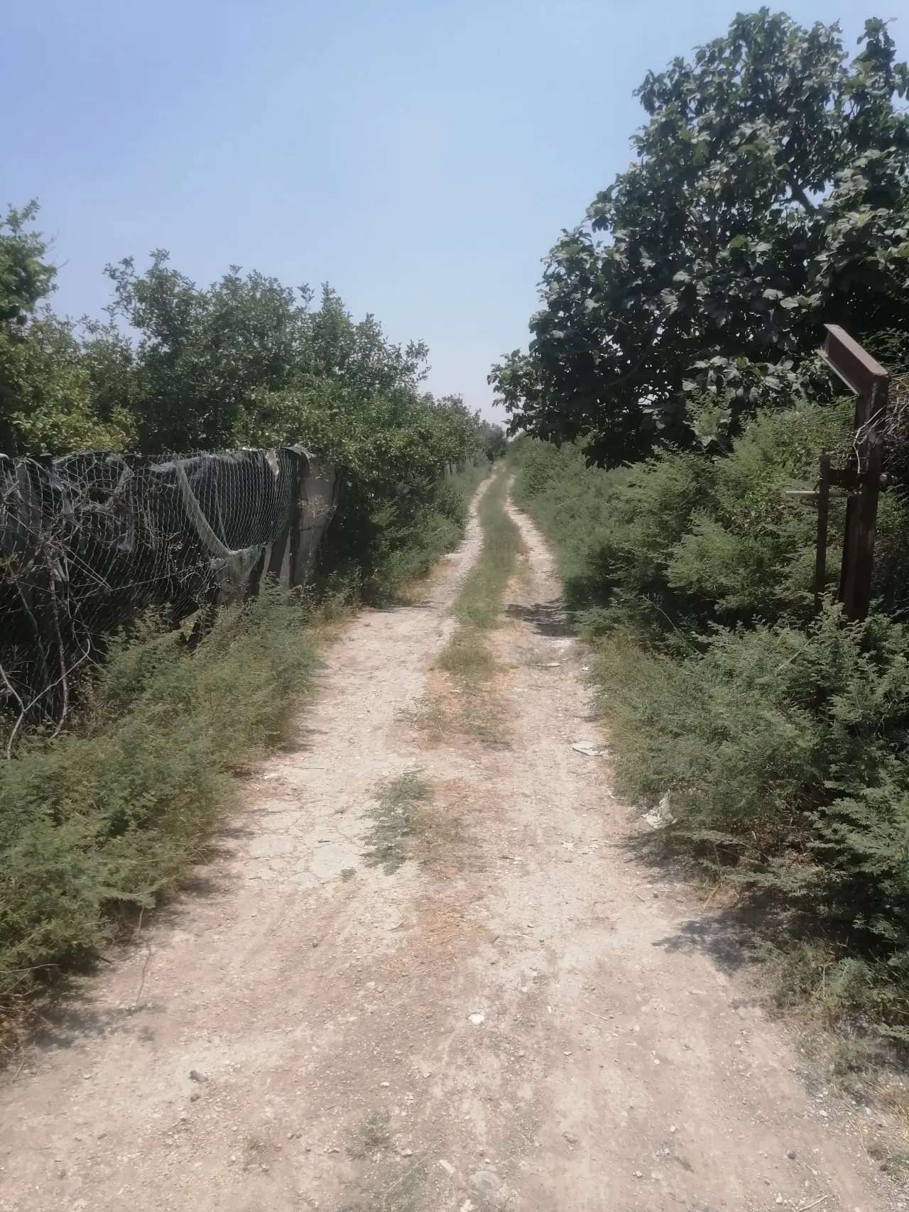 Land for sale in North Shuna – photo 15
