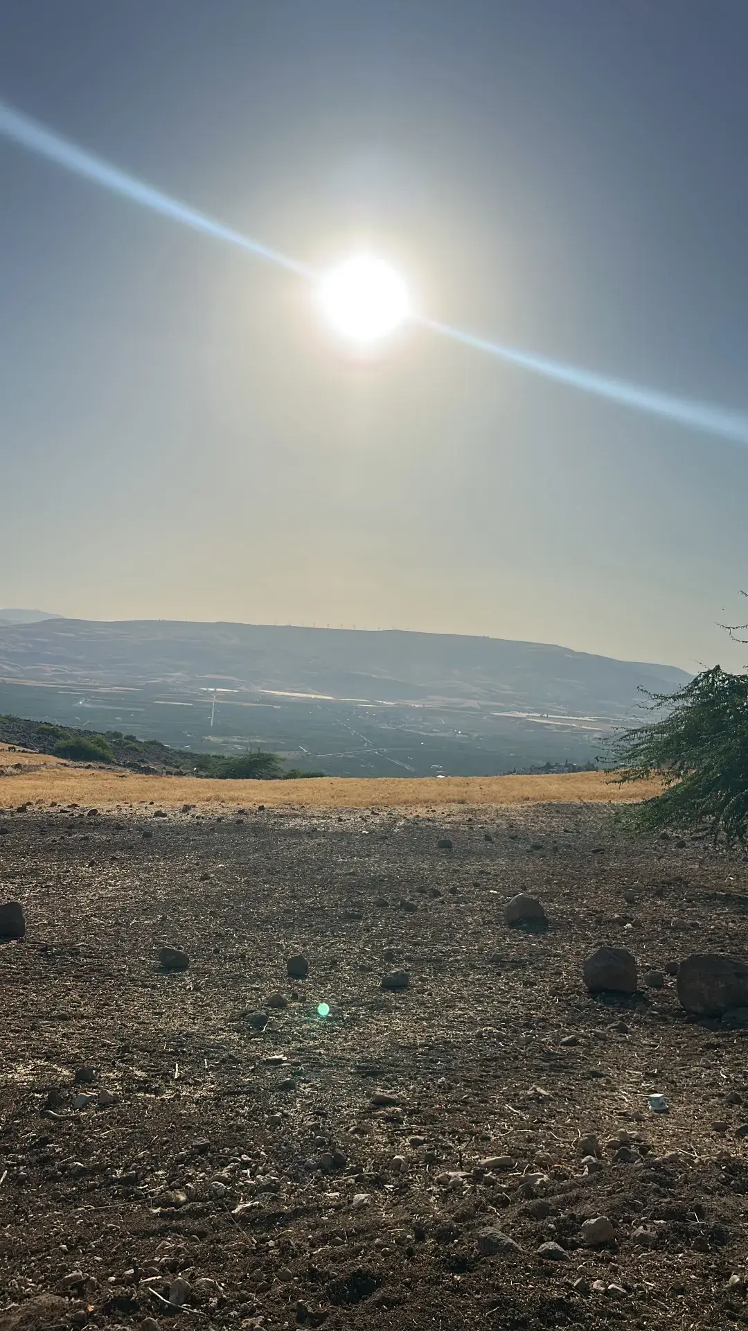 Land for sale in Umm Qais – photo 8