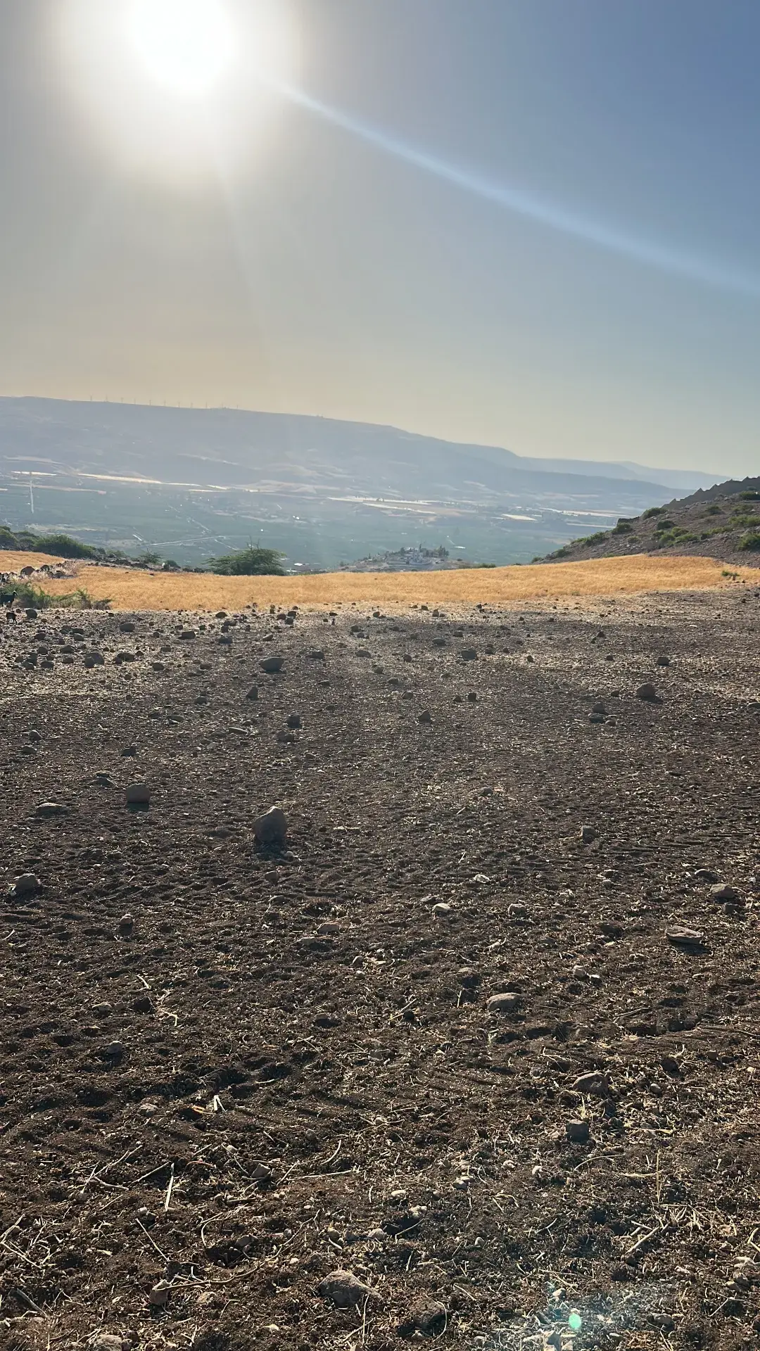Land for sale in Umm Qais – photo 7