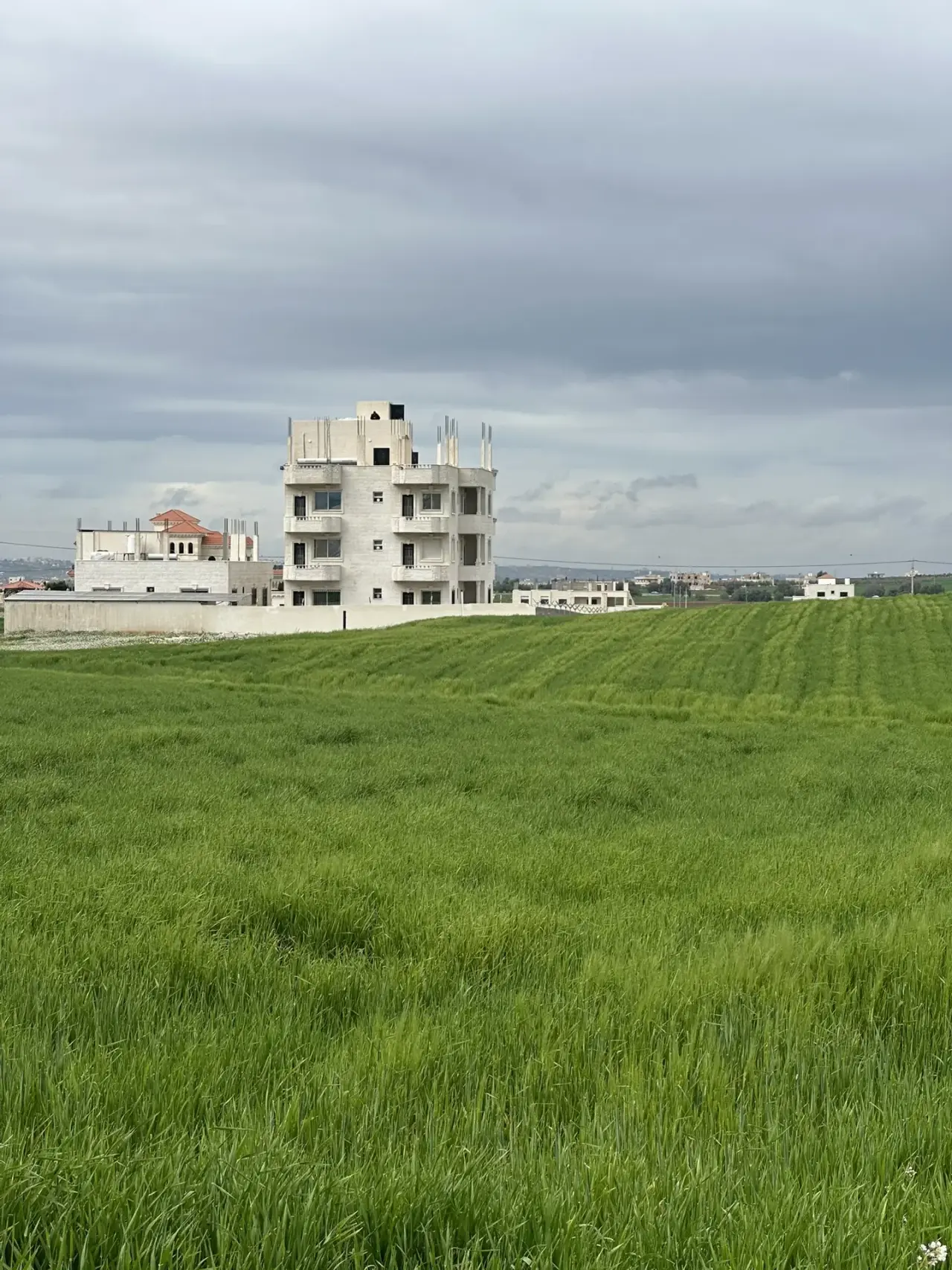 6-dunum plot on Petra Street, Irbid, with a 40 m frontage on the main road