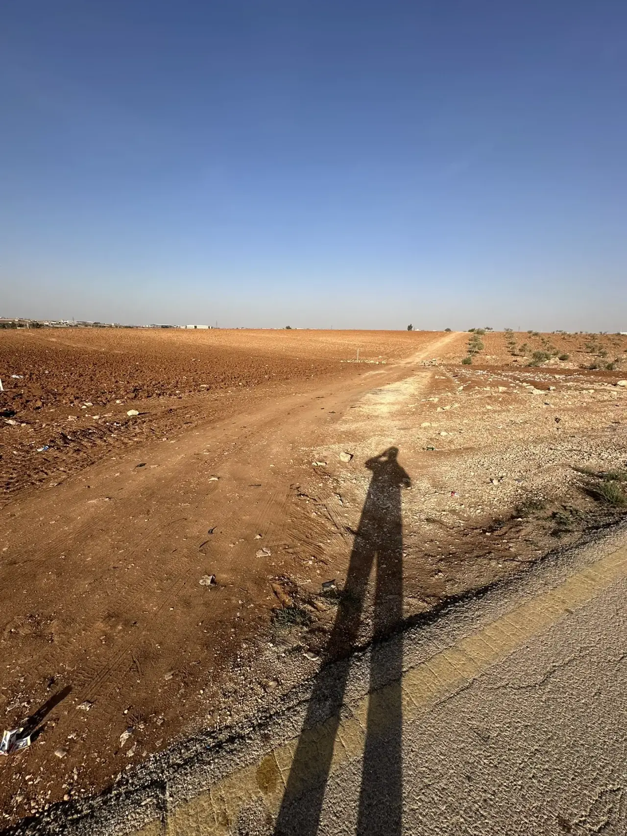 Land for sale in Petra Street – photo 8