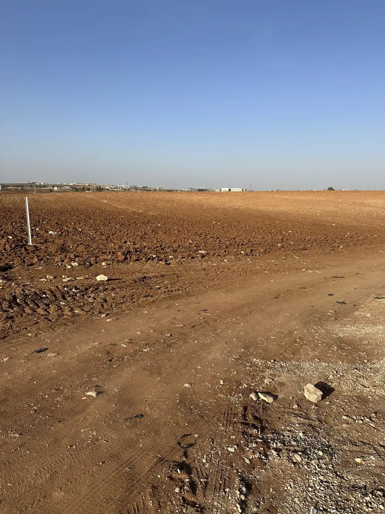 Land for sale in Petra Street – photo 6