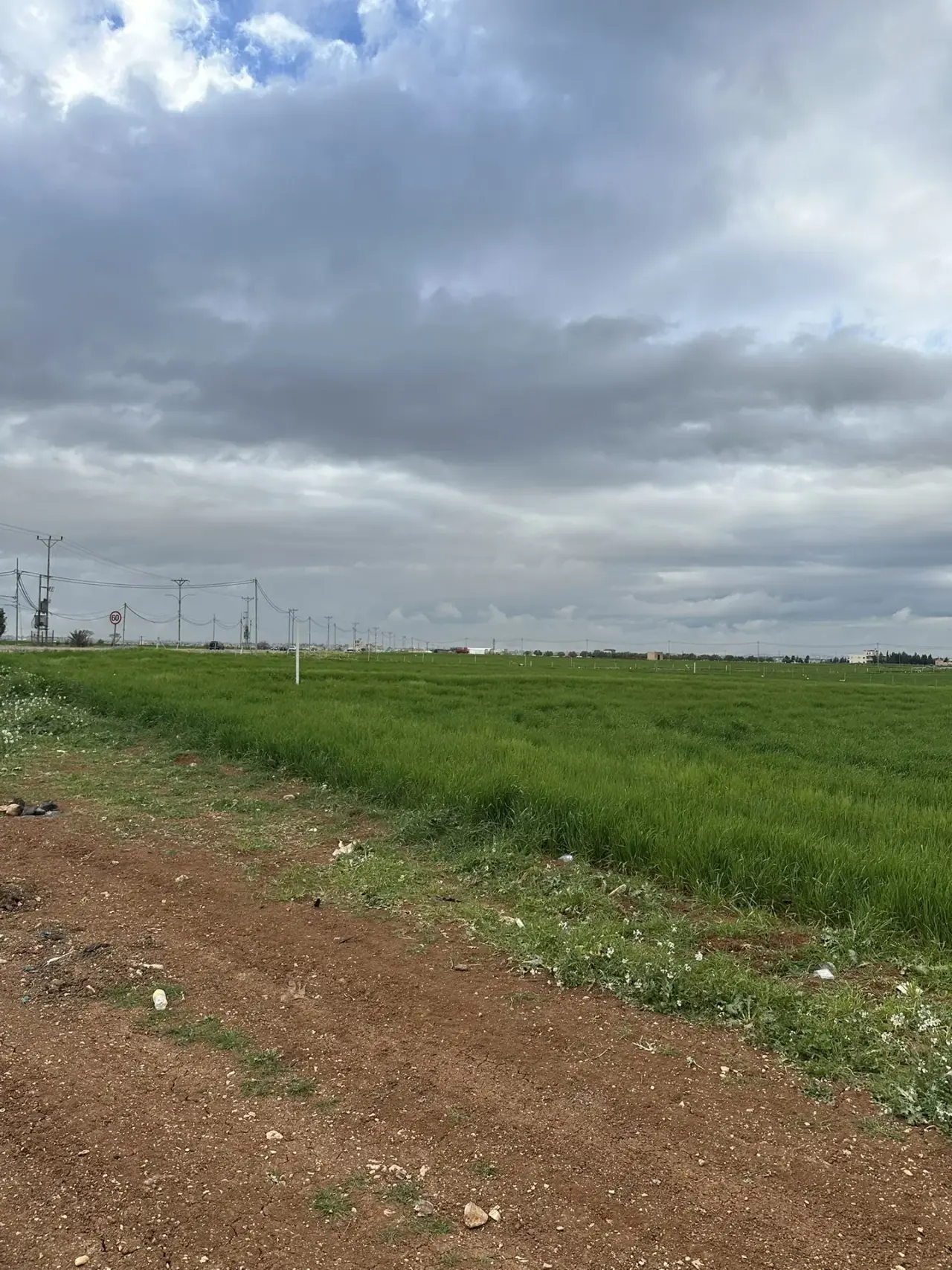 Land for sale in Petra Street – photo 5