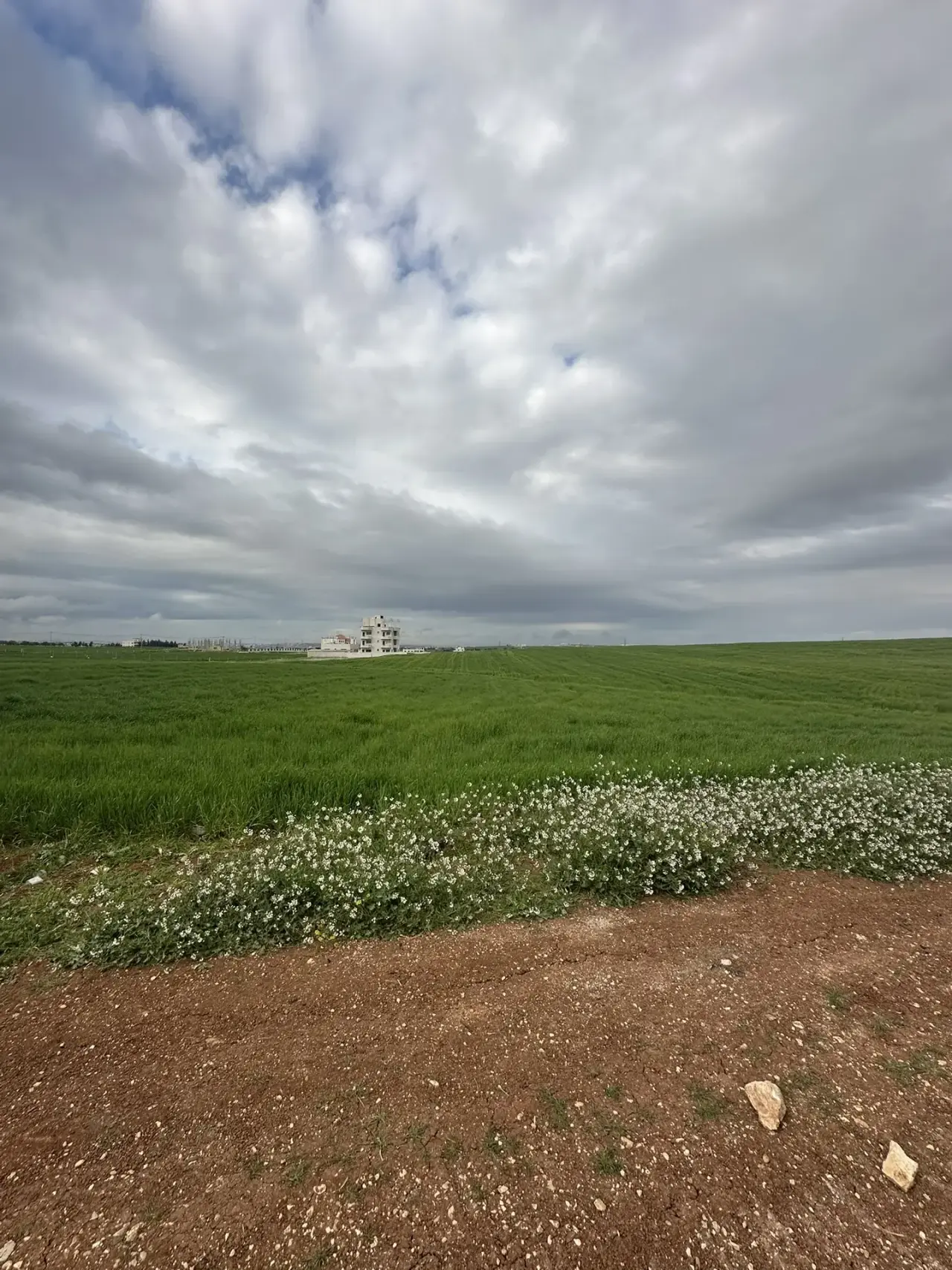 Land for sale in Petra Street – photo 4