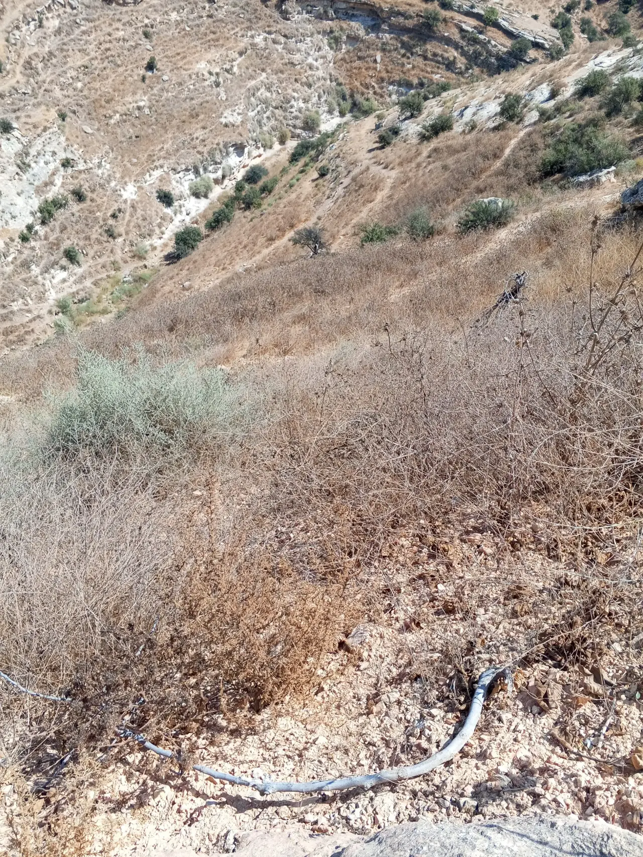 أرض للبيع في Hofa – صورة 15