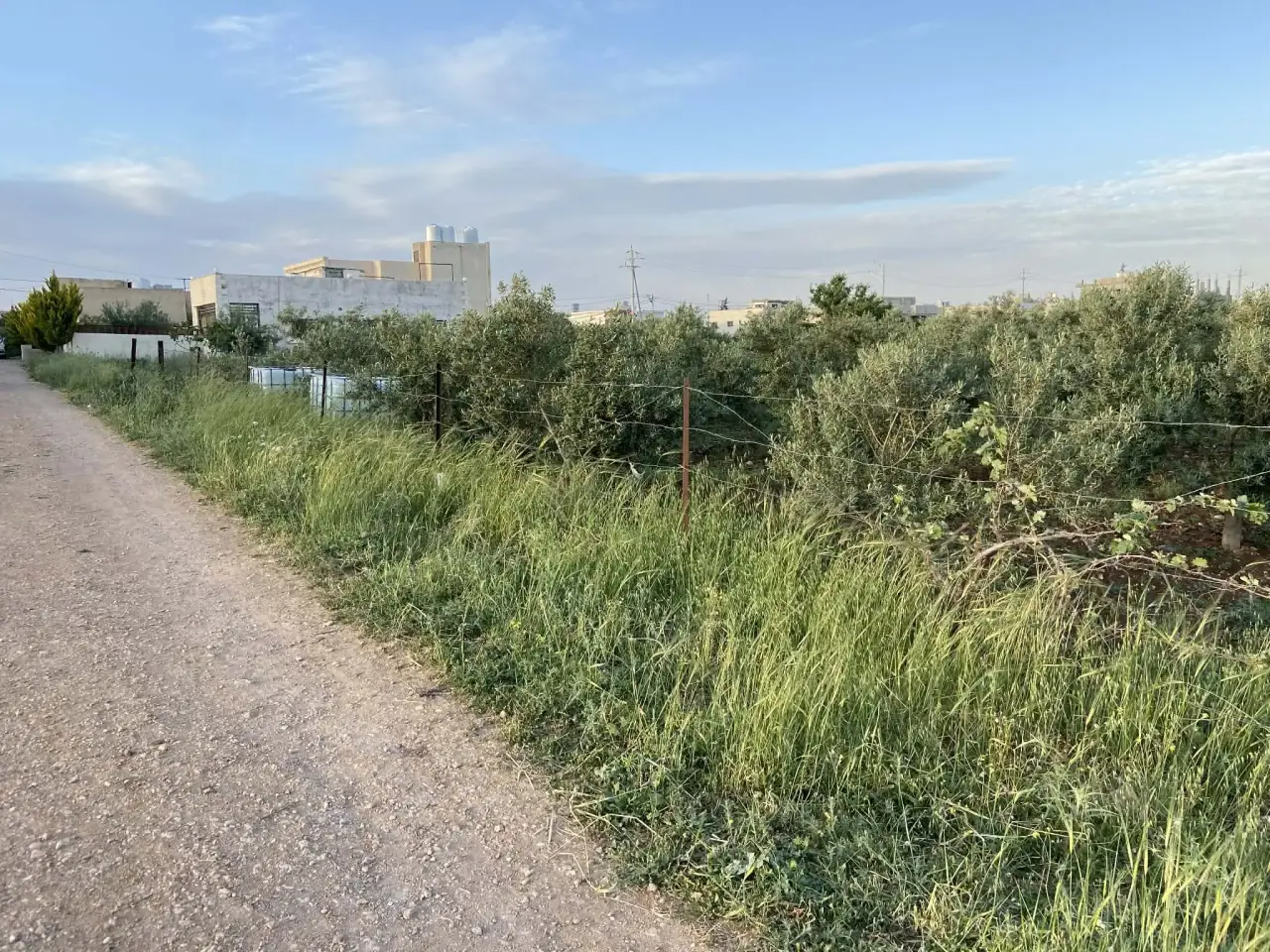 Land for sale in Kitim – photo 9
