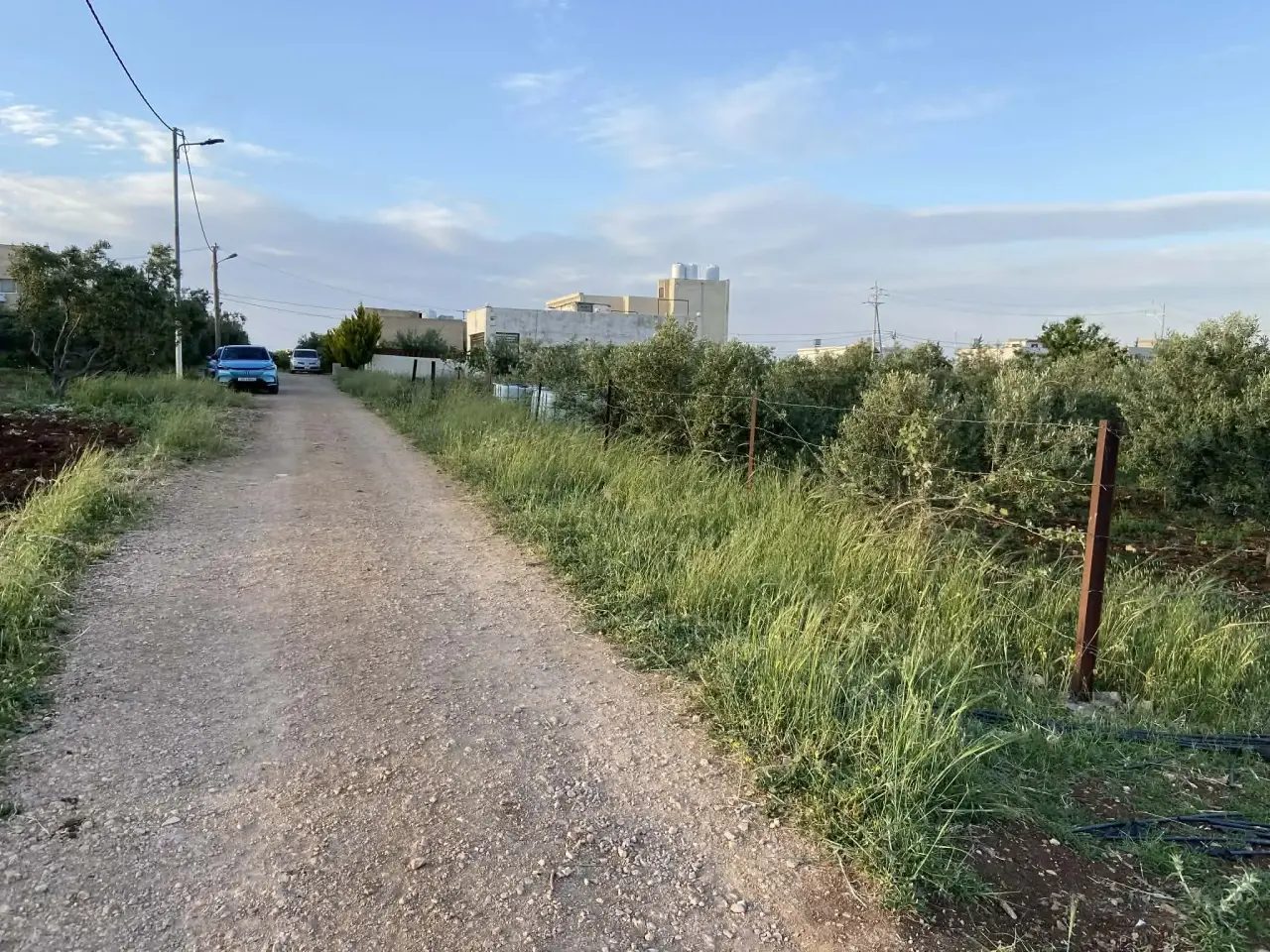 Land for sale in Kitim – photo 2