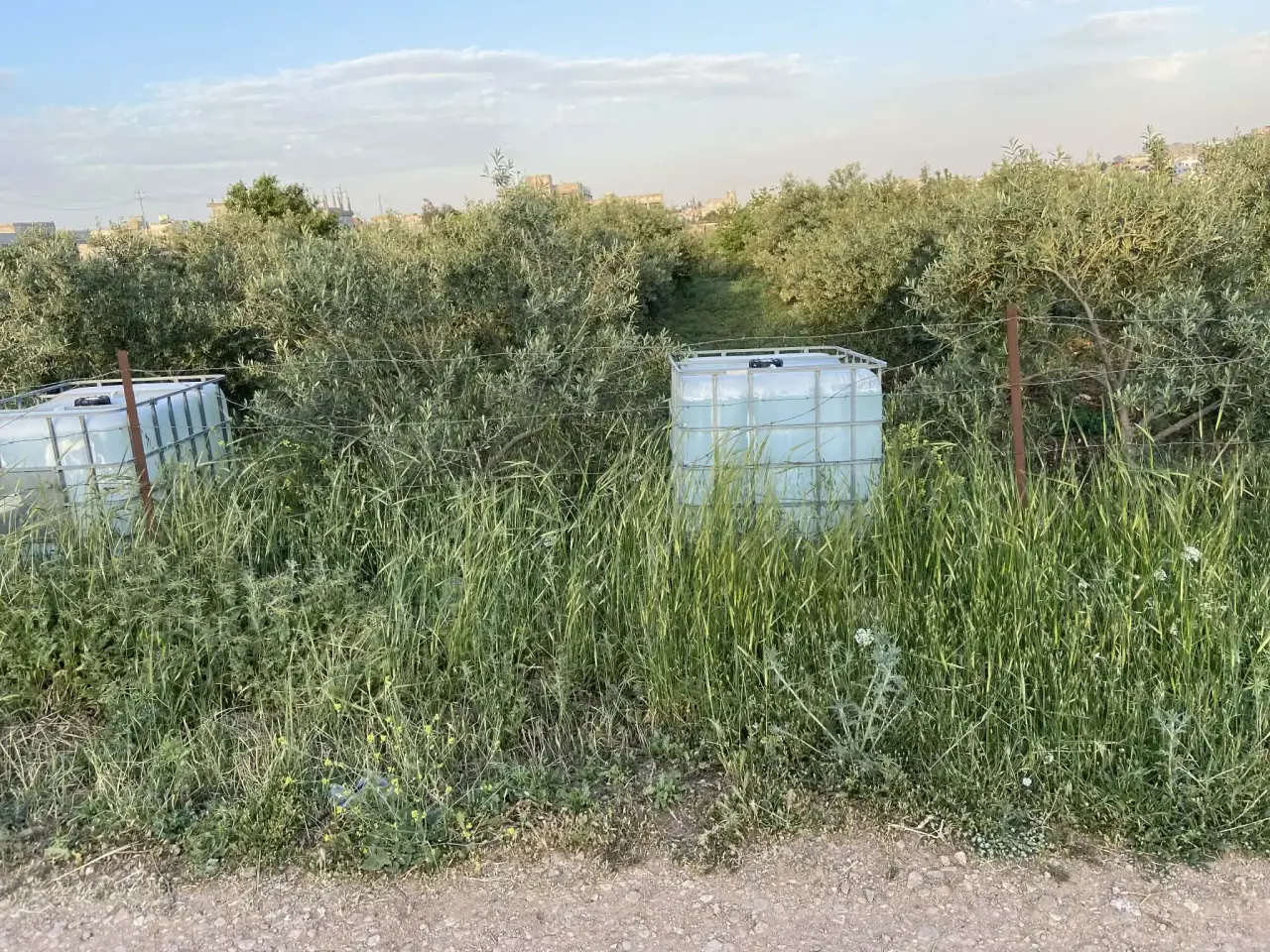 Land for sale in Kitim – photo 3