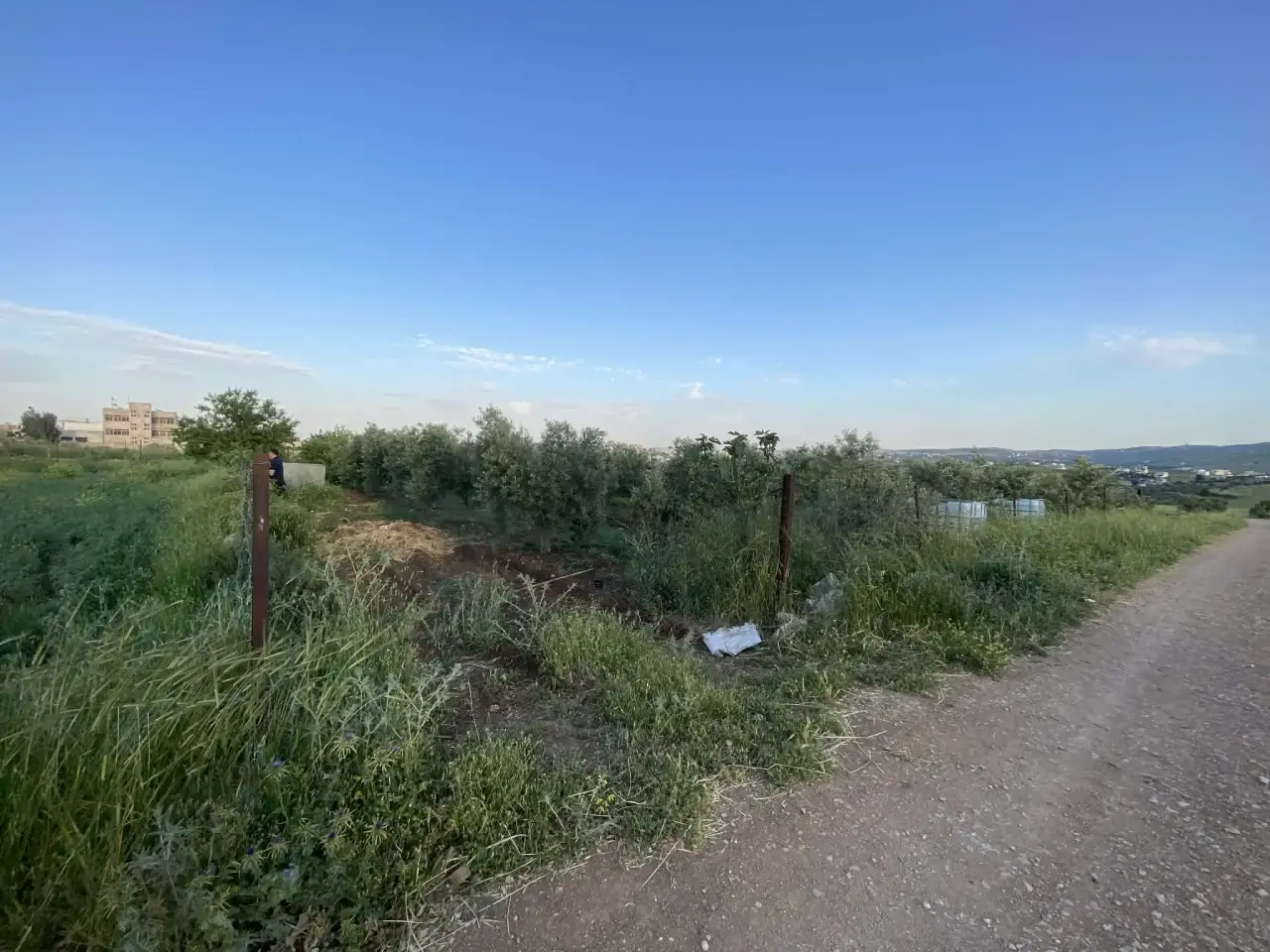 Land for sale in Kitim – photo 8