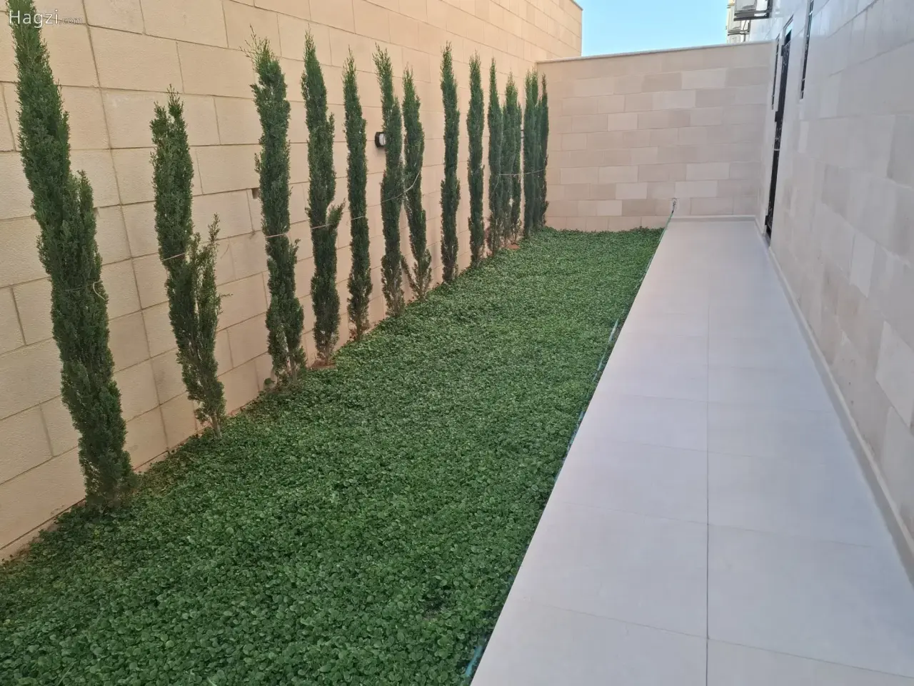 الصورة 2 من 12