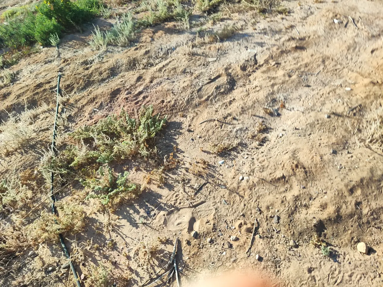Land for sale in Other – photo 7