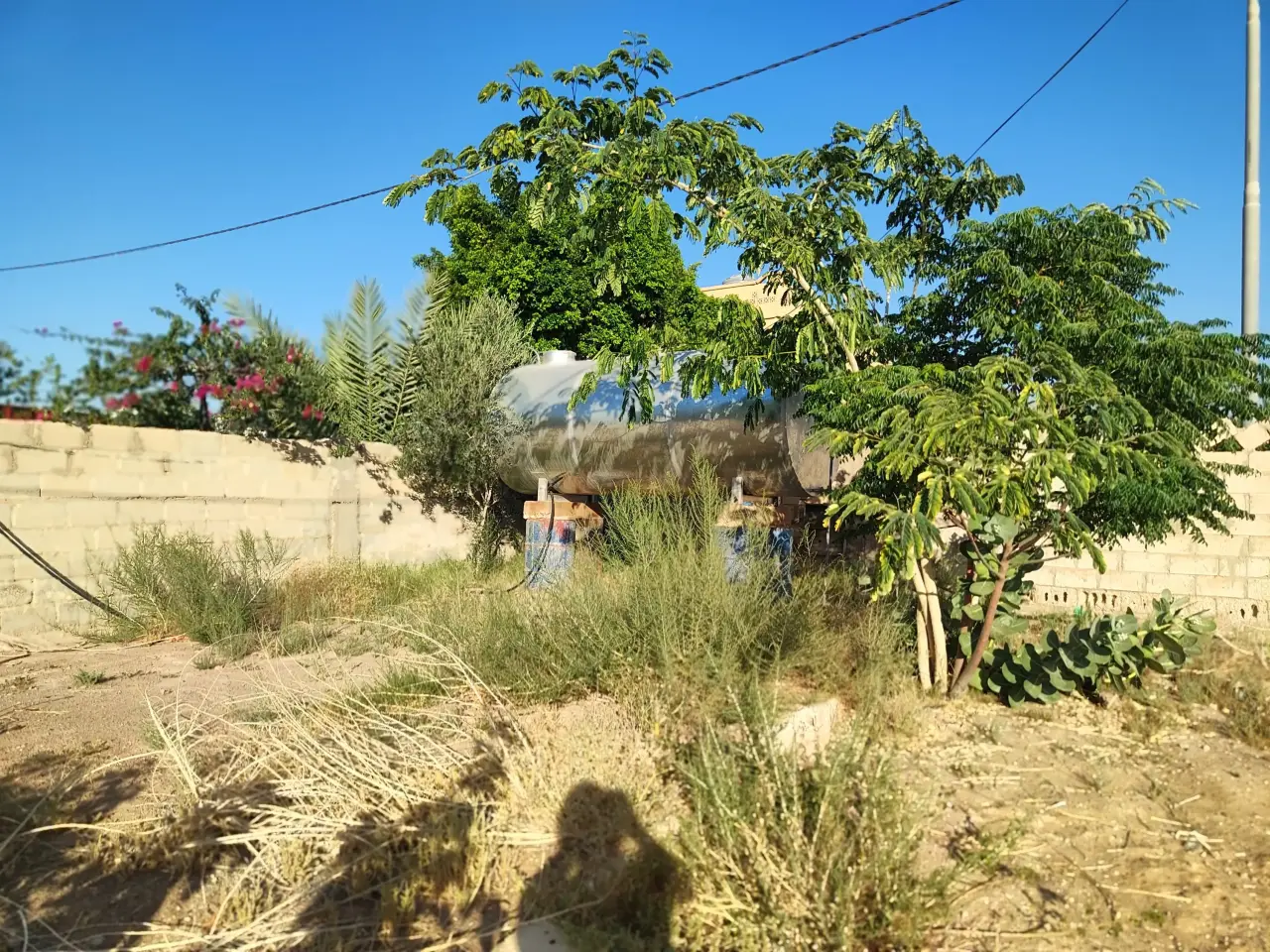 Land for sale in Other – photo 4
