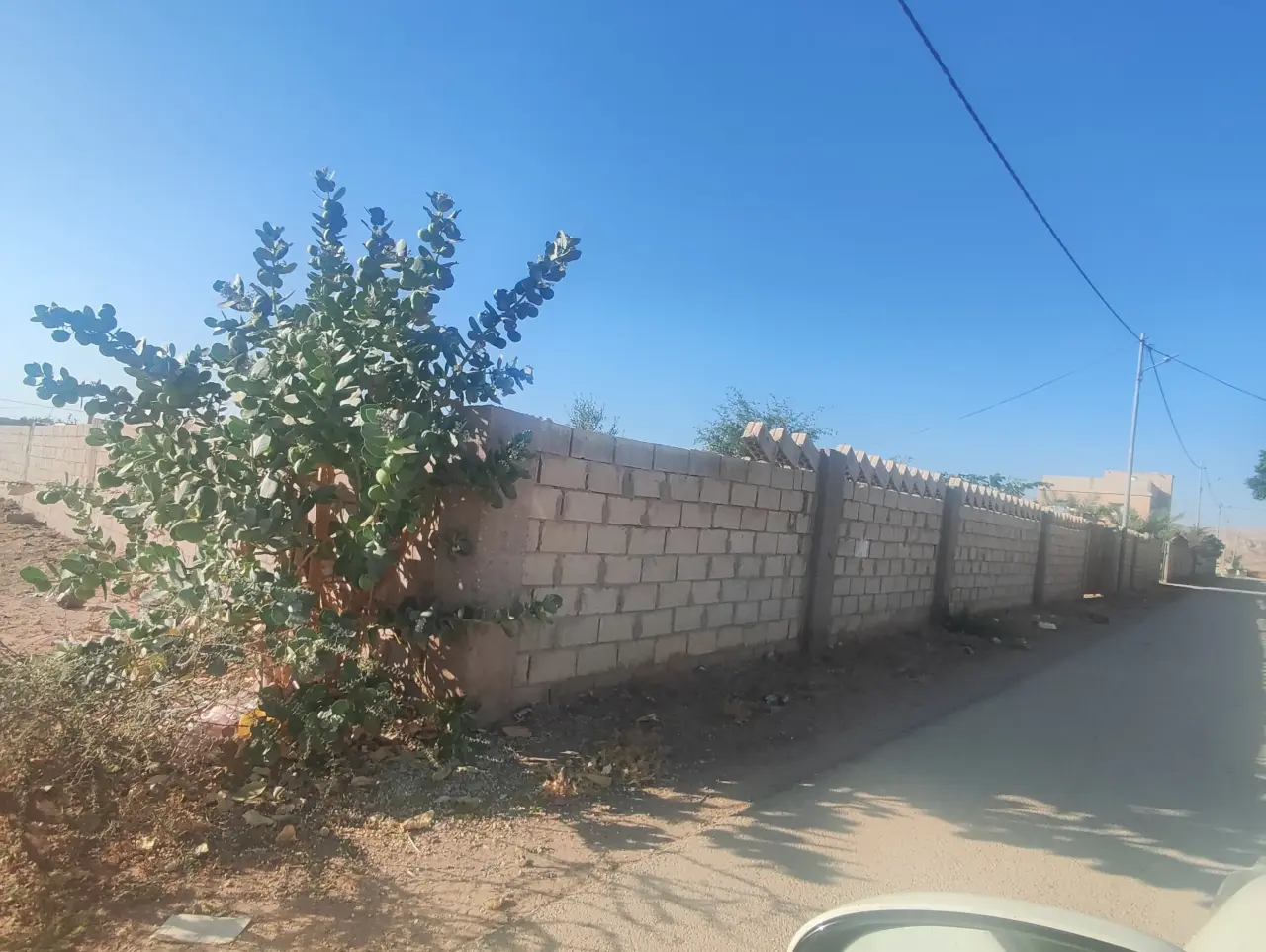 Land for sale in Other – photo 11