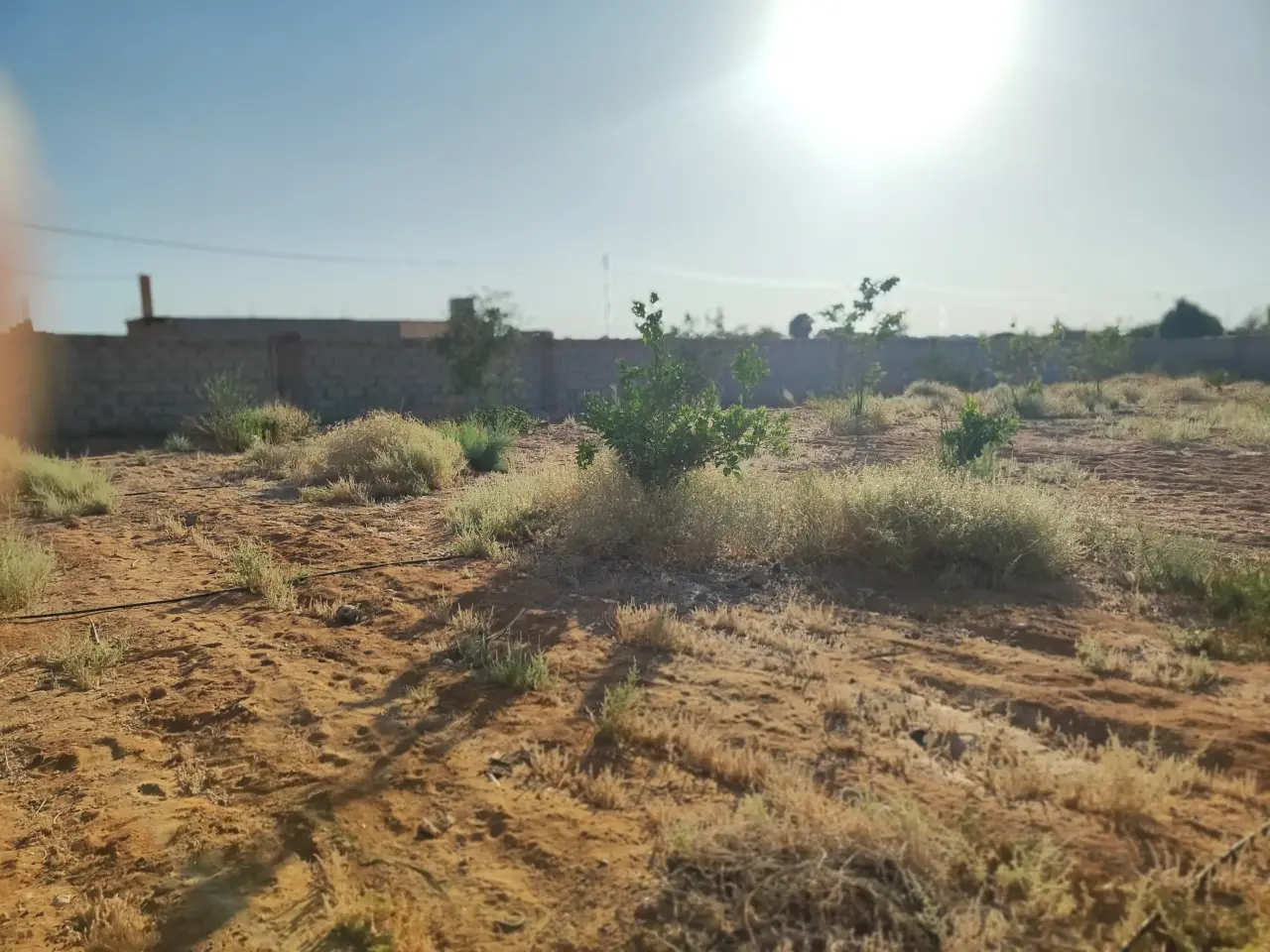 Land for sale in Other – photo 5