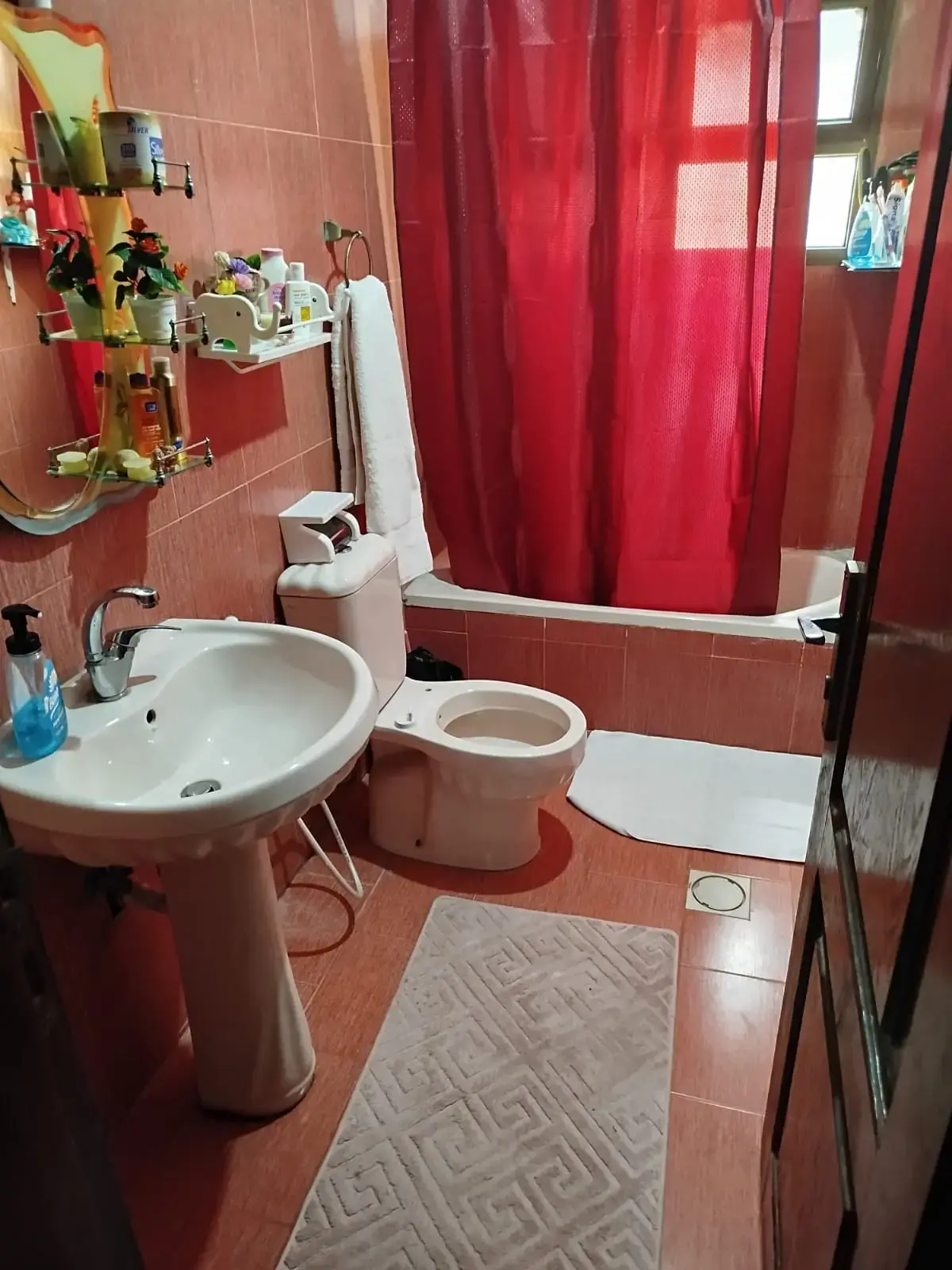 Apartment for sale in Ein Al-Basha – photo 10