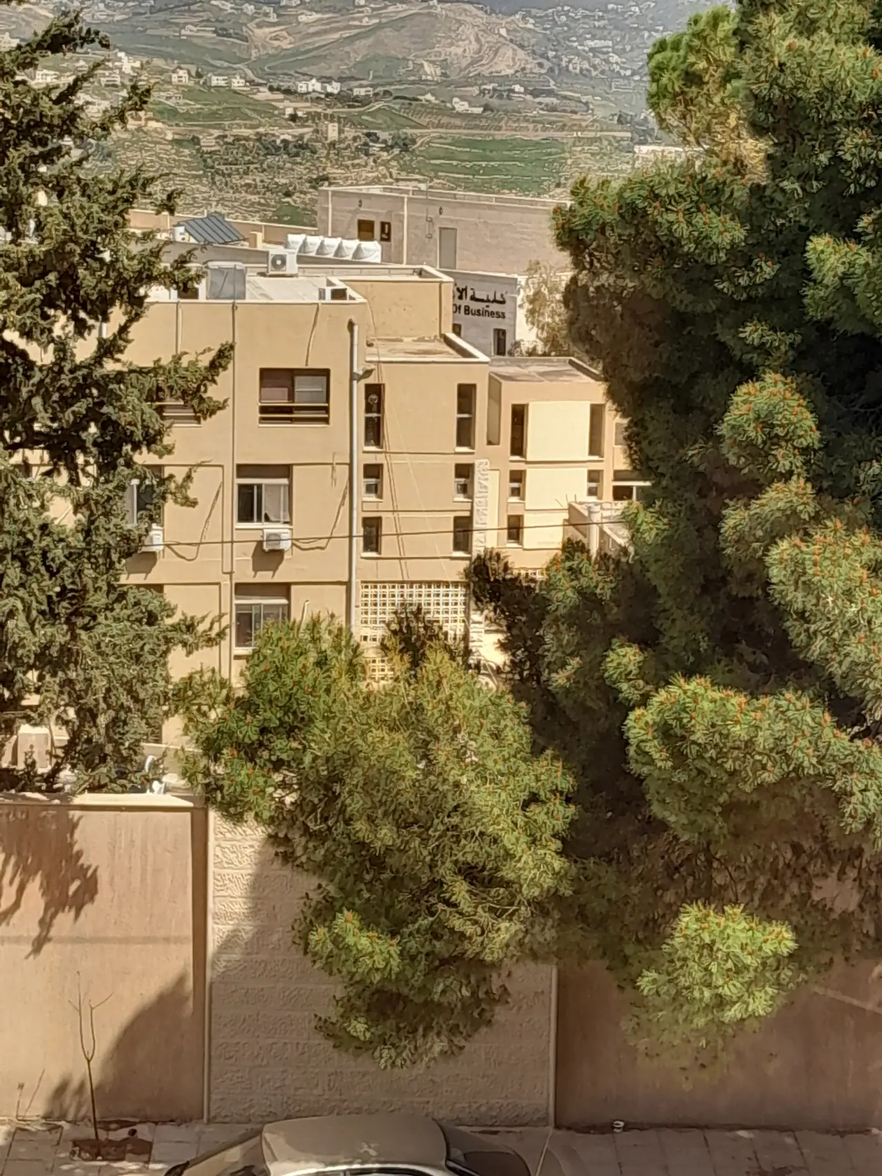 Apartment for rent in Al Manshiyyeh – photo 7