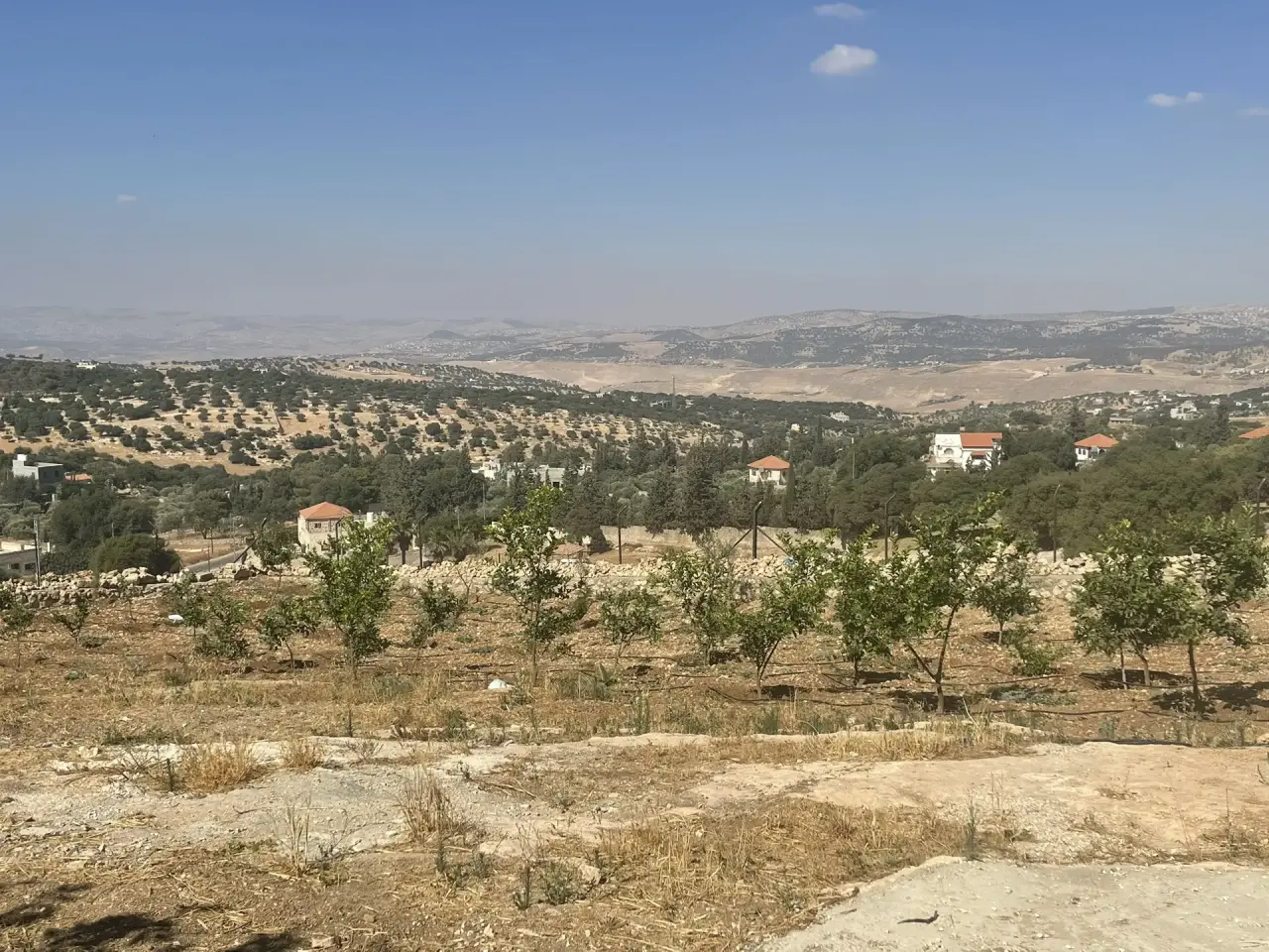 One-dunum planted plot in Um Al-Amad, Salt, with views to Jala'd, Jerash and Ajloun