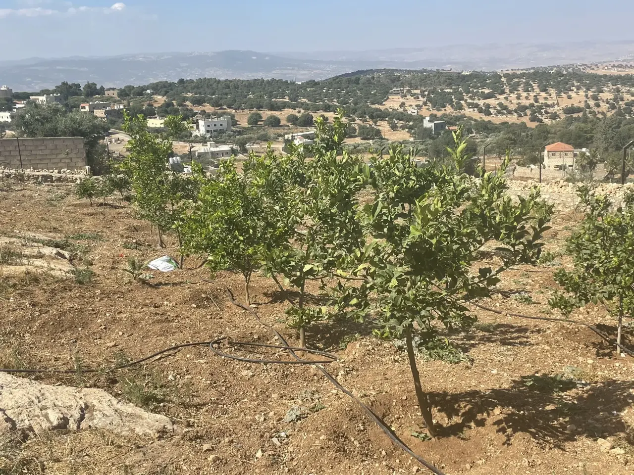 Land for sale in Al Balqa' – photo 6