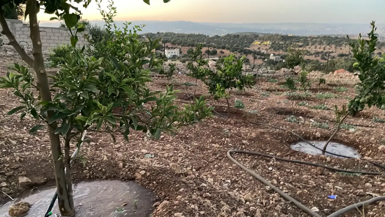 Land for sale in Al Balqa' – photo 13