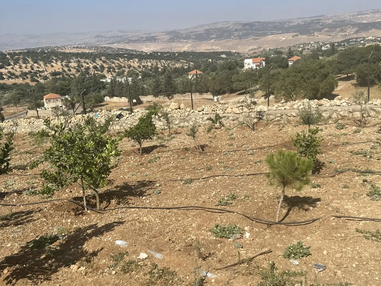 Land for sale in Al Balqa' – photo 3