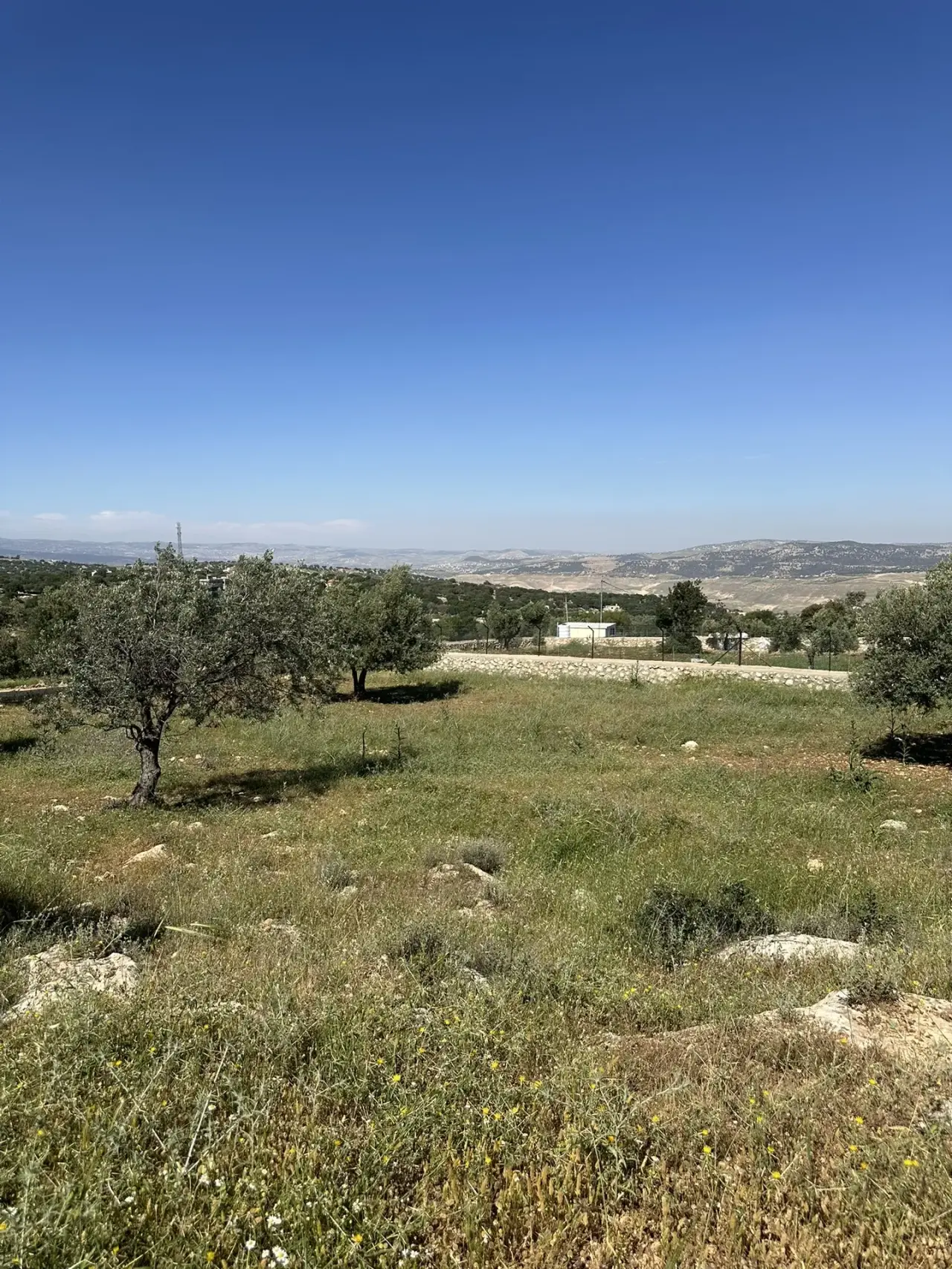 Land for sale in Other – photo 5