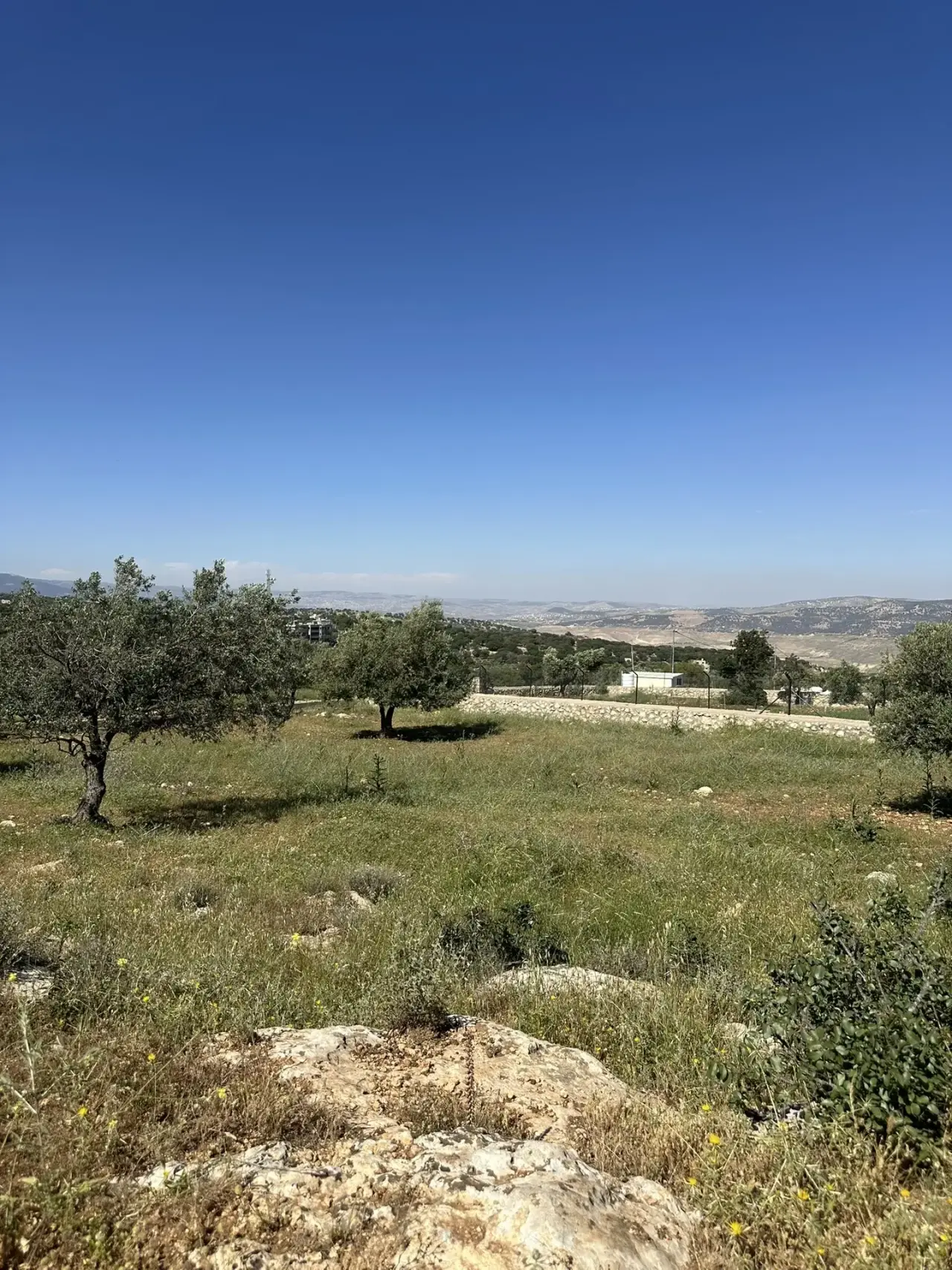 Land for sale in Other – photo 3