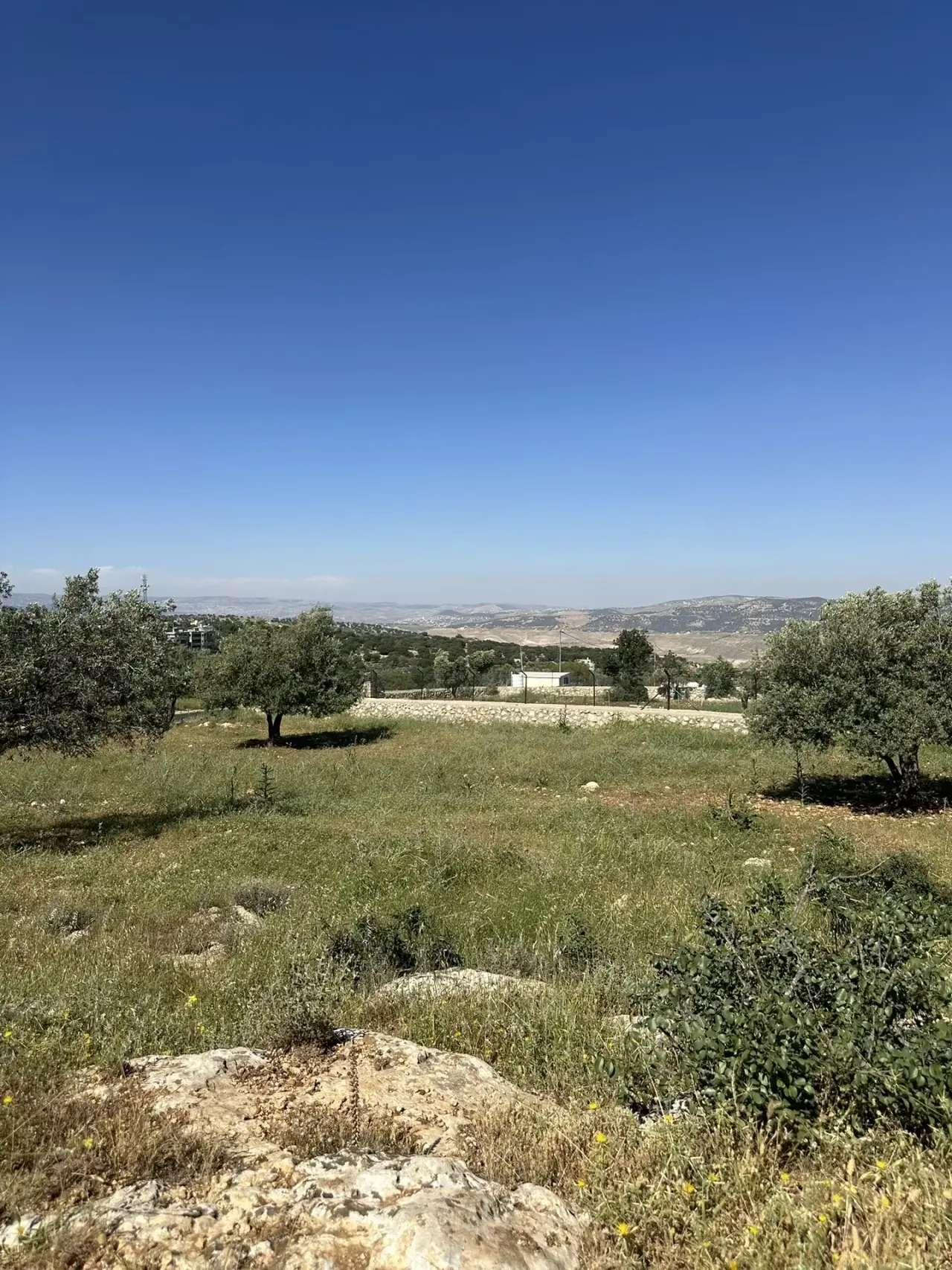 Um Al-Amad, Salt: square 3,400 m² plot with panoramic views that suits a villa with pool