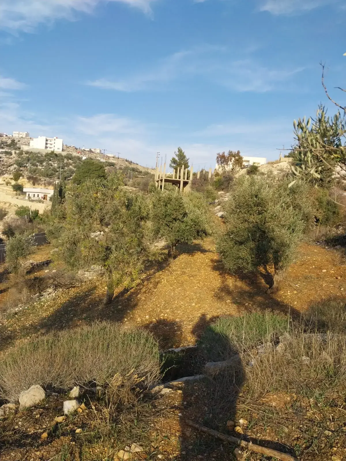 Land for sale in Other – photo 5