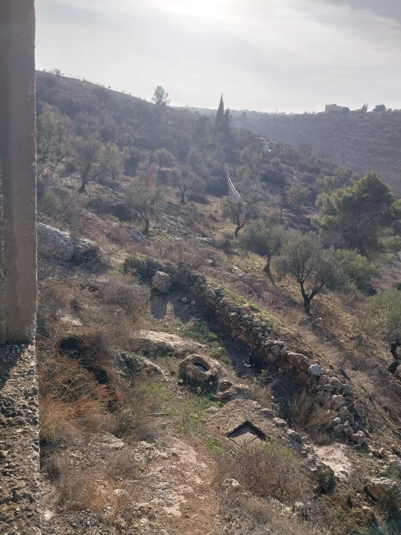 Land for sale in Other – photo 9