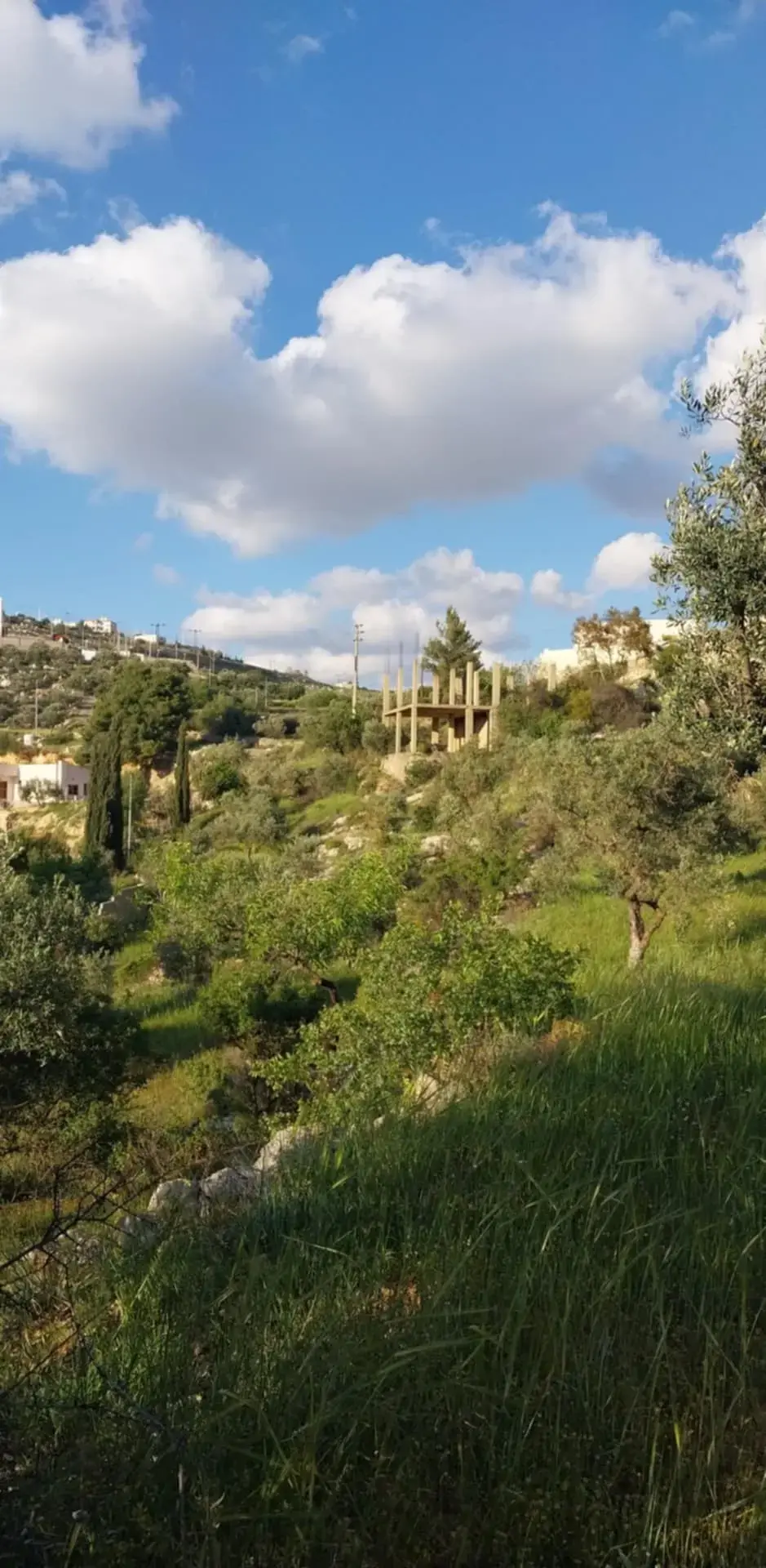 Land for sale in Other – photo 4