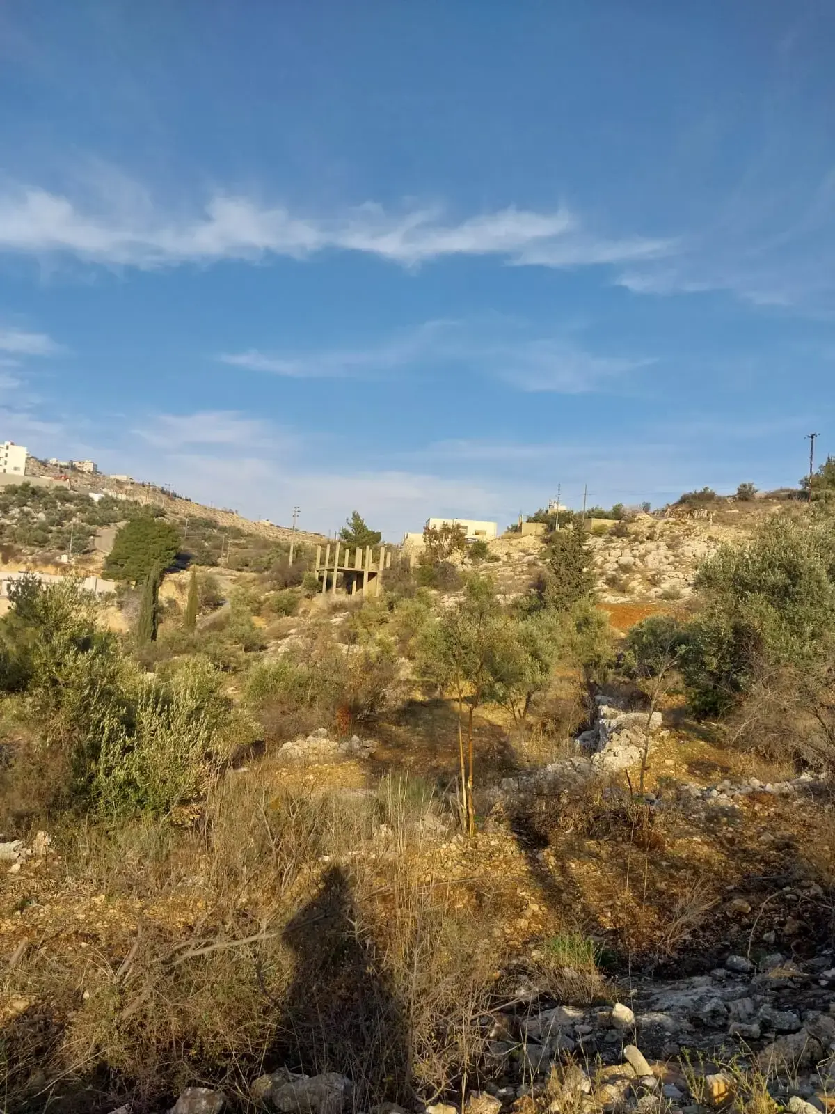 Land for sale in Other – photo 2