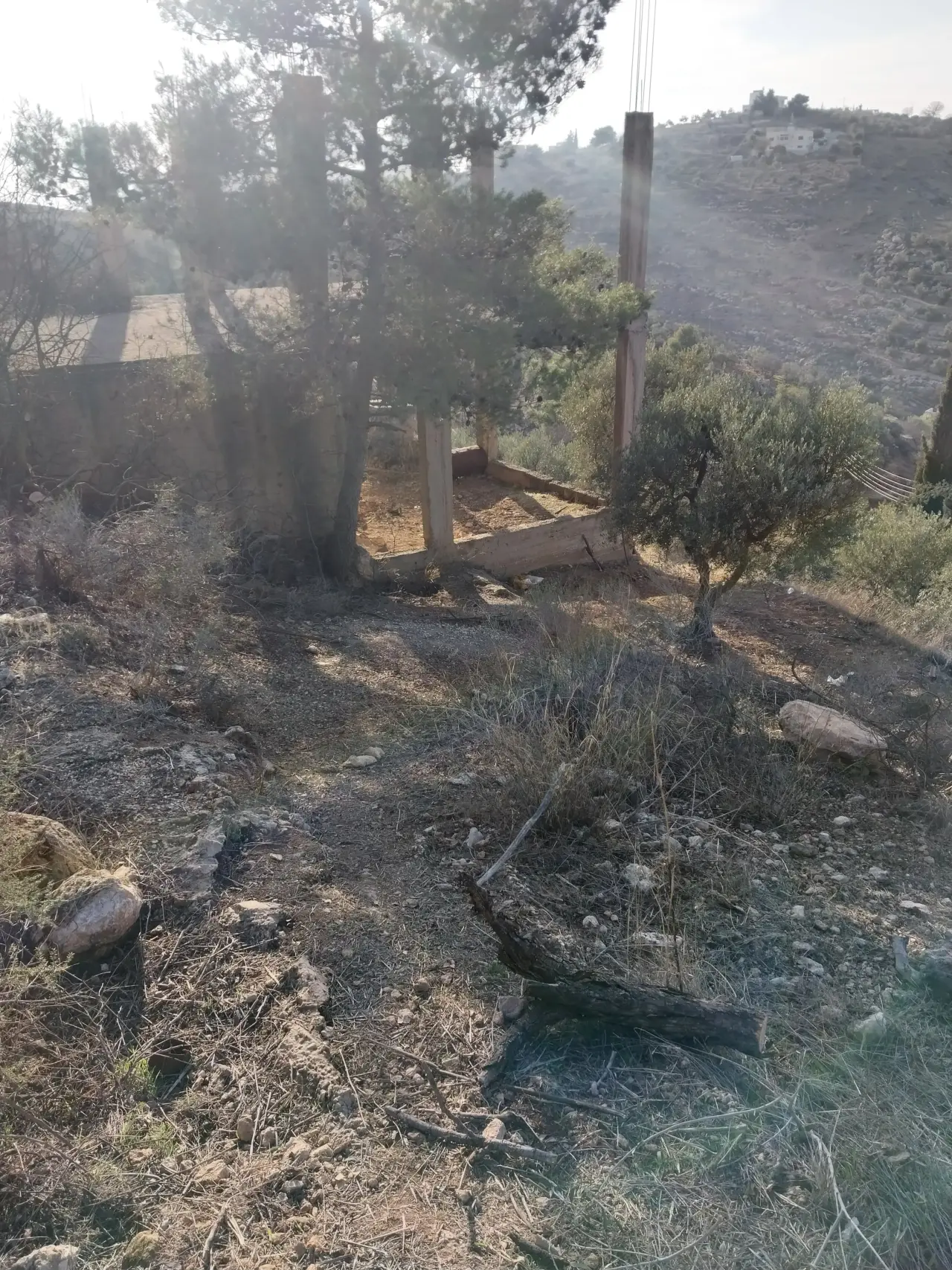 Land for sale in Other – photo 11