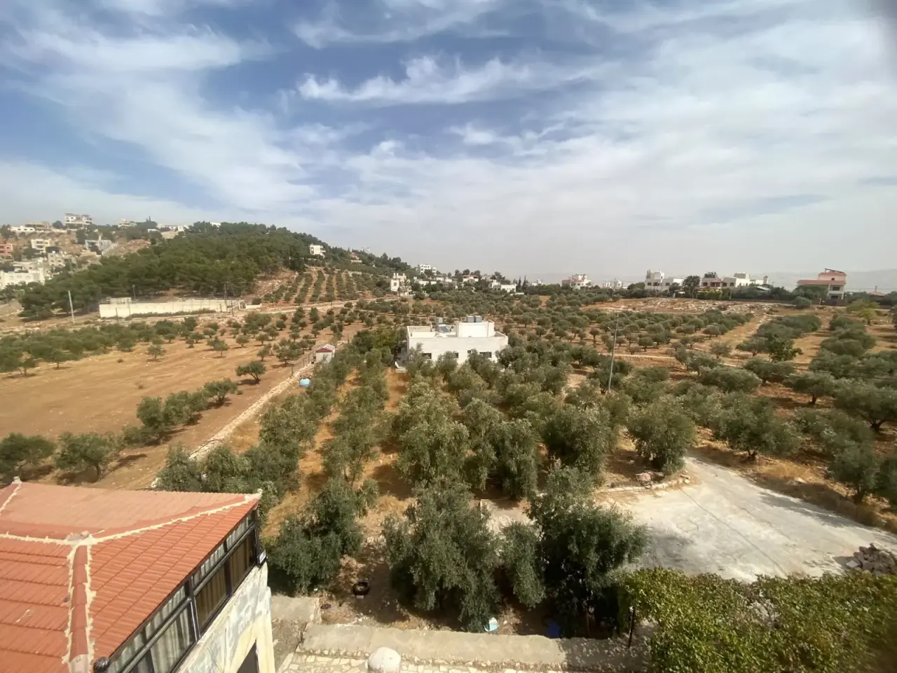 Land for sale in Al Saro – photo 6