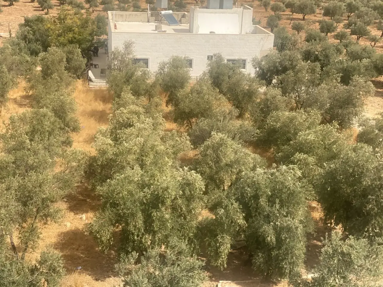 Land for sale in Al Saro – photo 2