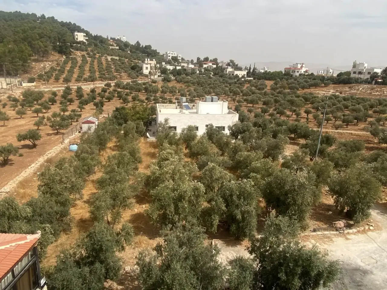 Al Ja'ia, Al Saro: 2 dunums of Residential A villa land, whole or by the dunum