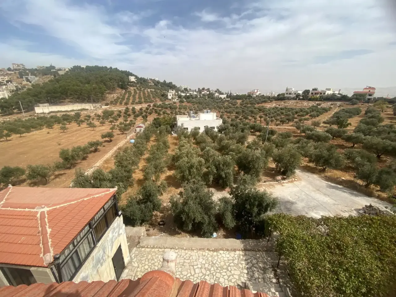 Land for sale in Al Saro – photo 3