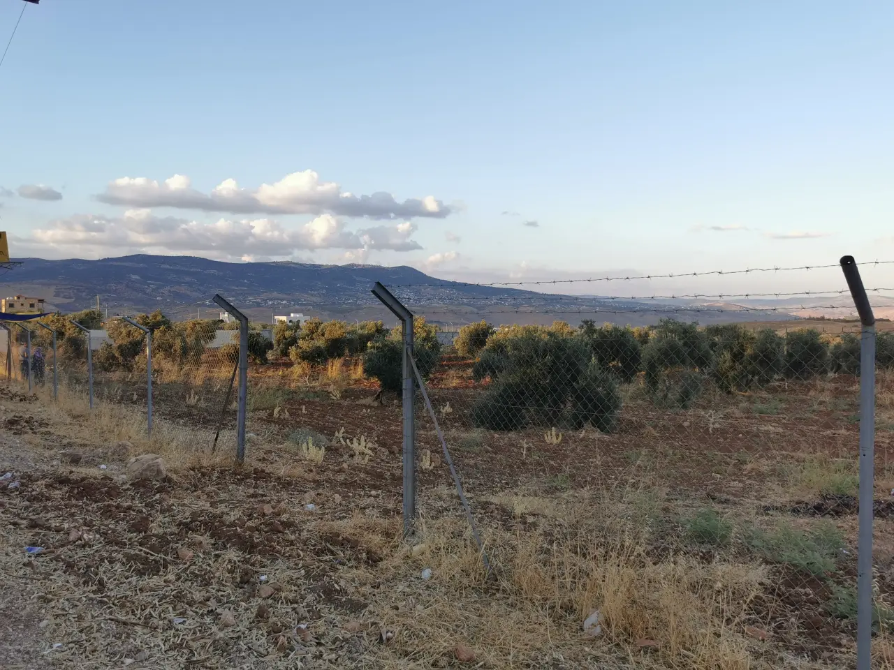 Land for sale in Al Subeihi – photo 5