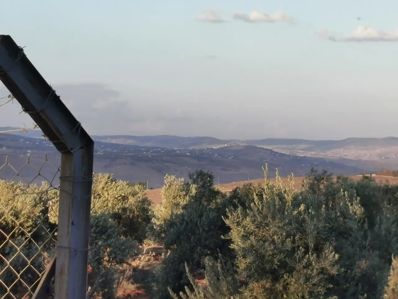 Land for sale in Al Subeihi – photo 7