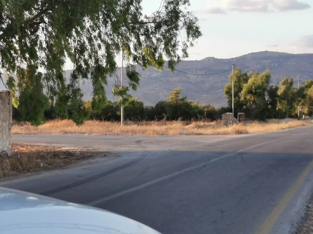 Land for sale in Al Subeihi – photo 8