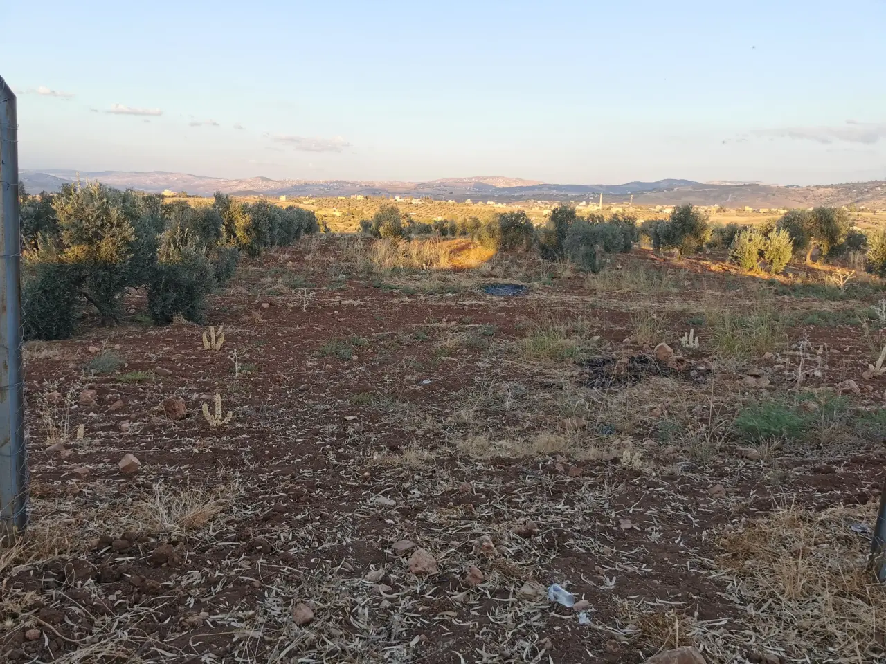 Land for sale in Al Subeihi – photo 4