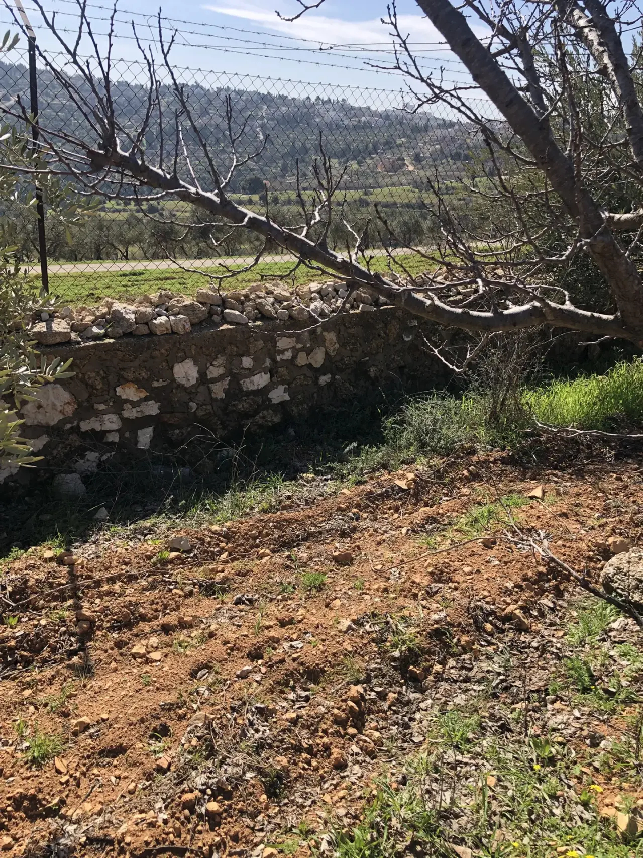 Land for sale in Zay – photo 4