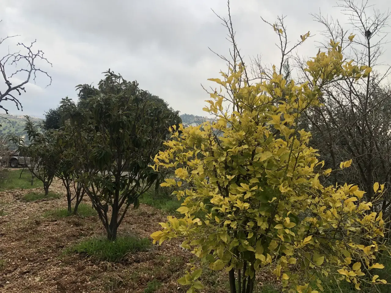 Land for sale in Zay – photo 6