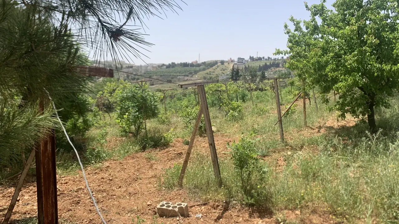 Land for sale in Zay – photo 2