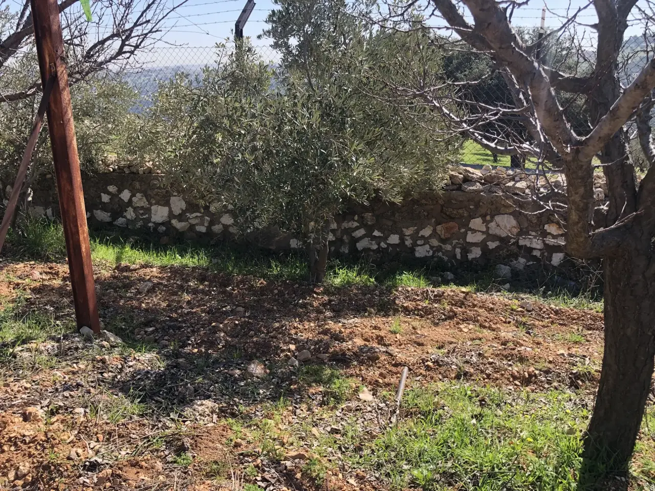 Land for sale in Zay – photo 3