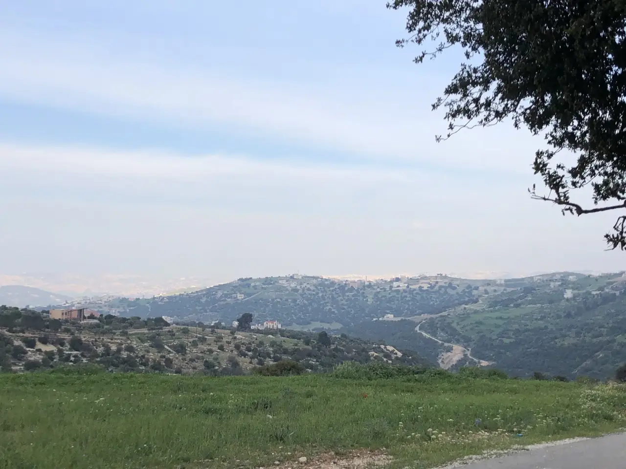Planted, fenced 3,600 m² plot in Zay, Salt, on two streets with views to Ajloun and Jerash