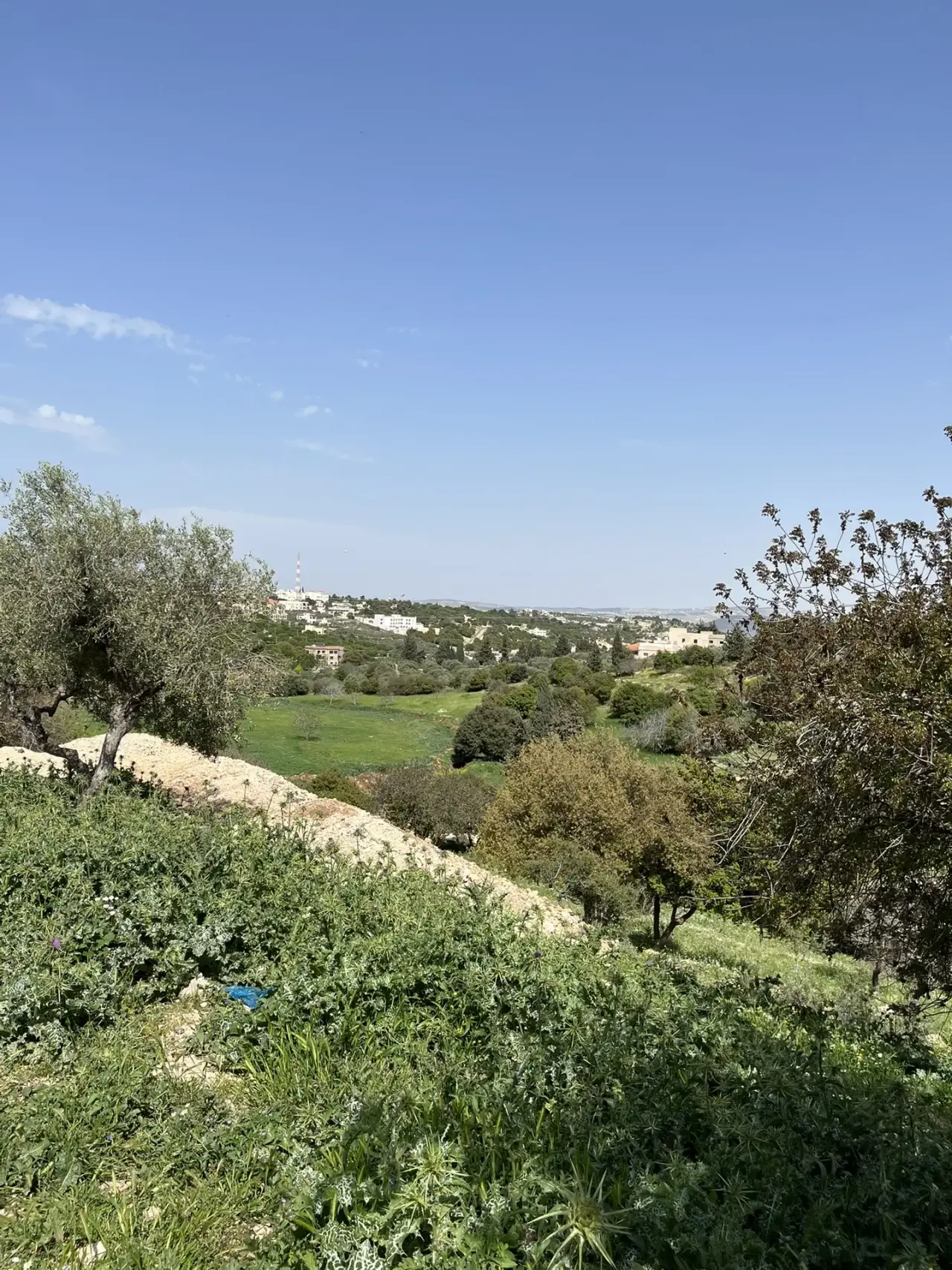 أرض للبيع في Zay – صورة 4
