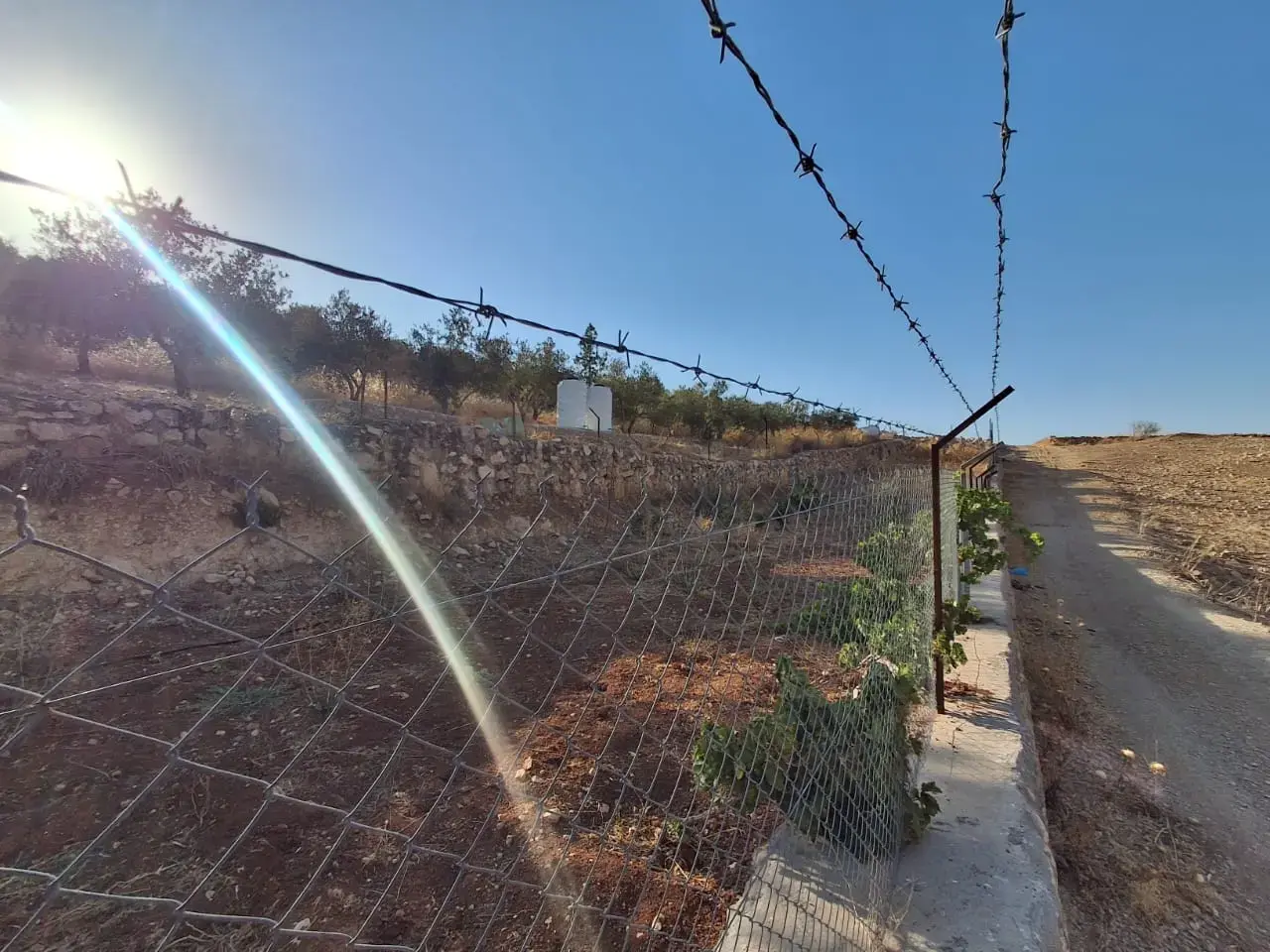 Land for sale in Jala'd – photo 9