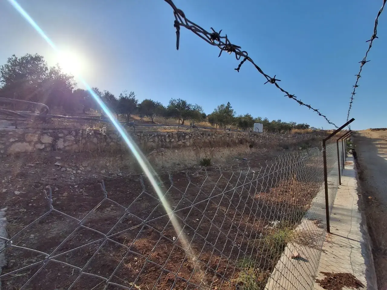 Land for sale in Jala'd – photo 11